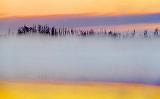 Sunrise River Mist_00887